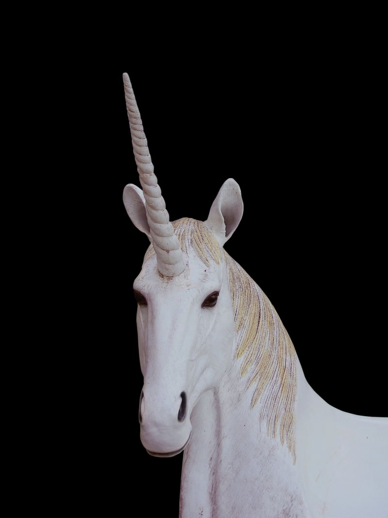 Unicorn Sanctuary